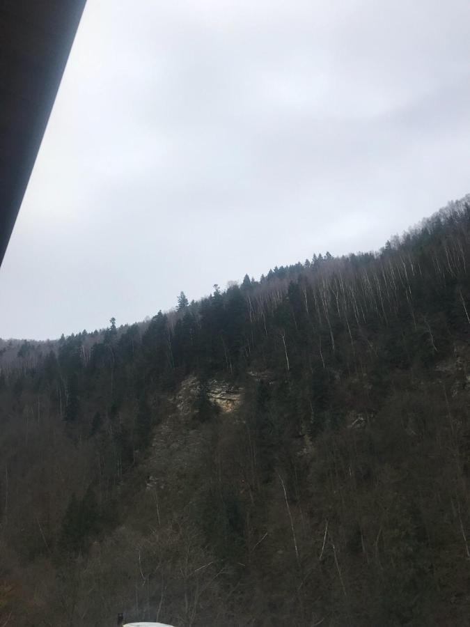 Писанка Плюс Otel Yaremche Dış mekan fotoğraf
